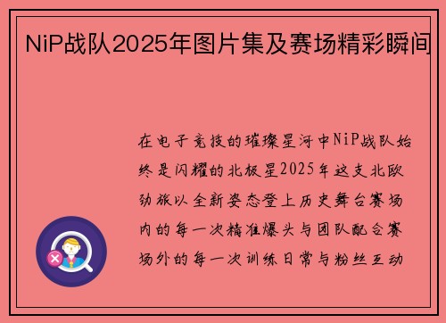 NiP战队2025年图片集及赛场精彩瞬间